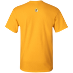 Youth Purple and Gold Fly Kat T-Shirts in Multi-color with Medallion on Back